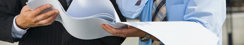 Project Managers